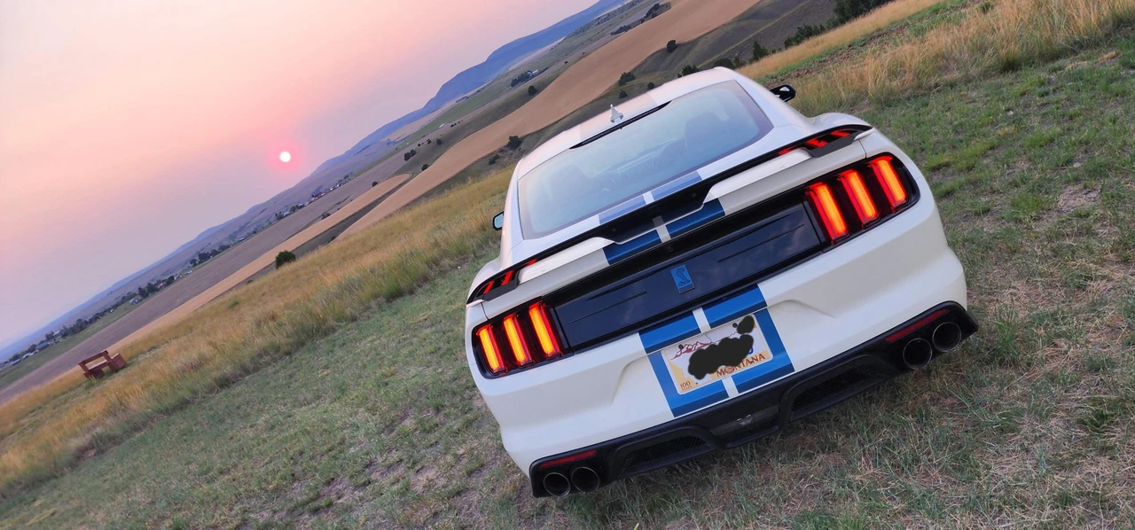 2020 Ford S550 Shelby Mustang GT350 - Image 15 of 31