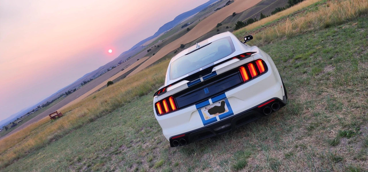 2020 Ford S550 Shelby Mustang GT350 - Image 14 of 31