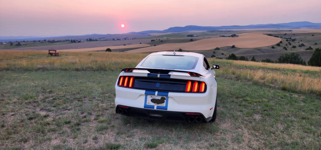 2020 Ford S550 Shelby Mustang GT350 - Image 16 of 31