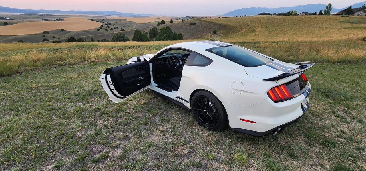 2020 Ford S550 Shelby Mustang GT350 - Image 12 of 31