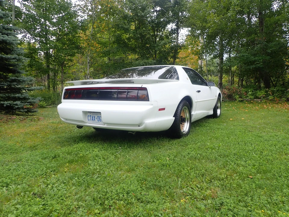 1992 Pontiac Firebird Trans Am 3rd Gen - Image 5 of 31