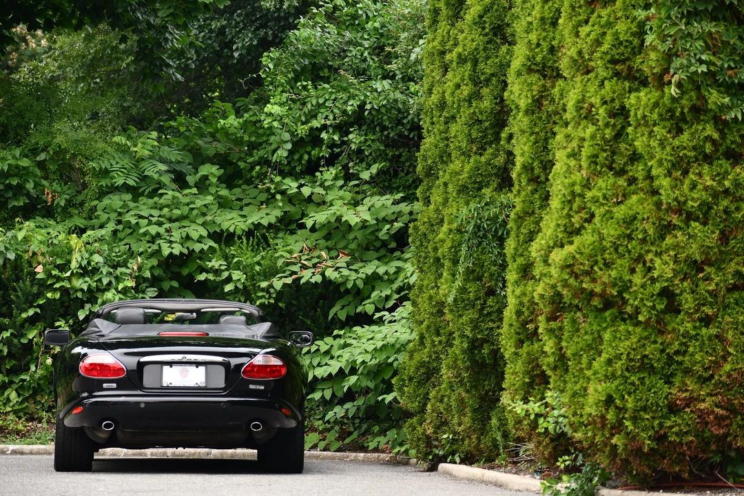 2003 Jaguar X100 XK8 - Image 21 of 31