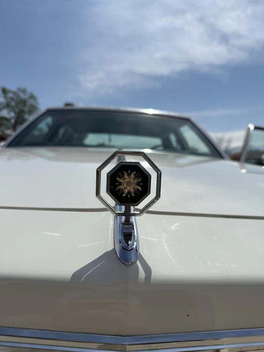 1986 Pontiac Parisienne - Image 19 of 31