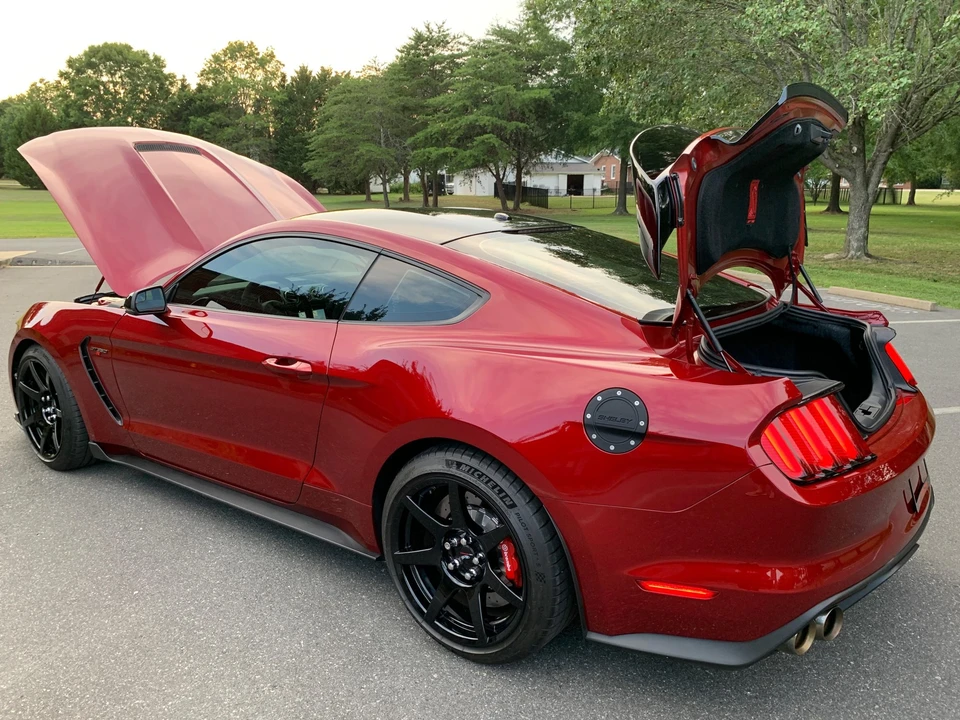 2018 Ford S550 Shelby Mustang GT350R - Image 15 of 31