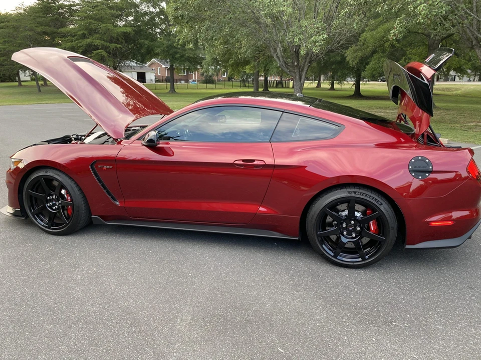2018 Ford S550 Shelby Mustang GT350R - Image 14 of 31