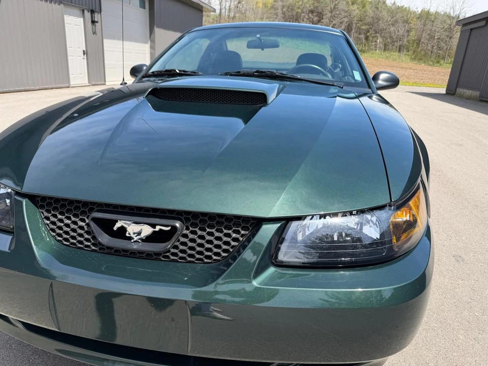2001 Ford SN95 Mustang - Image 7 of 31