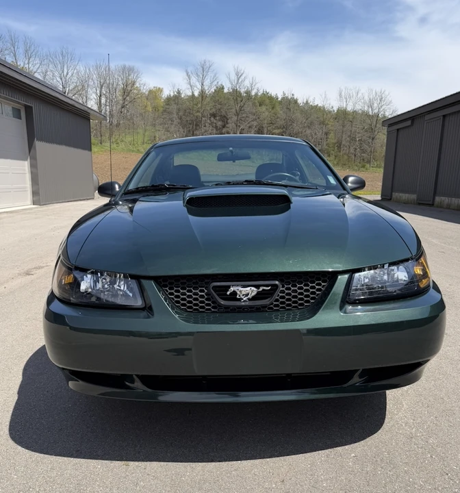 2001 Ford SN95 Mustang - Image 9 of 31