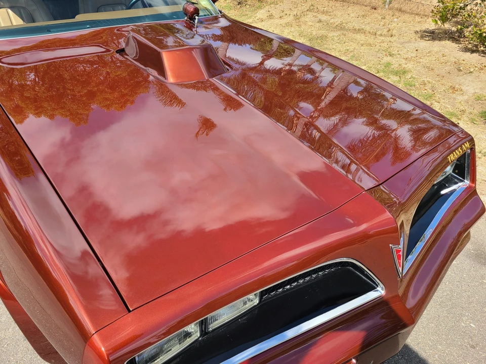 1977 Pontiac Firebird Trans Am 2nd Gen - Image 14 of 31