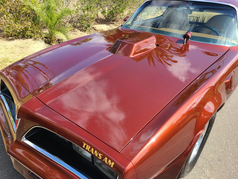1977 Pontiac Firebird Trans Am 2nd Gen - Image 22 of 31
