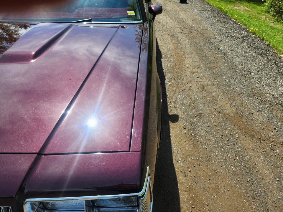 1987 Buick Regal - Image 11 of 31
