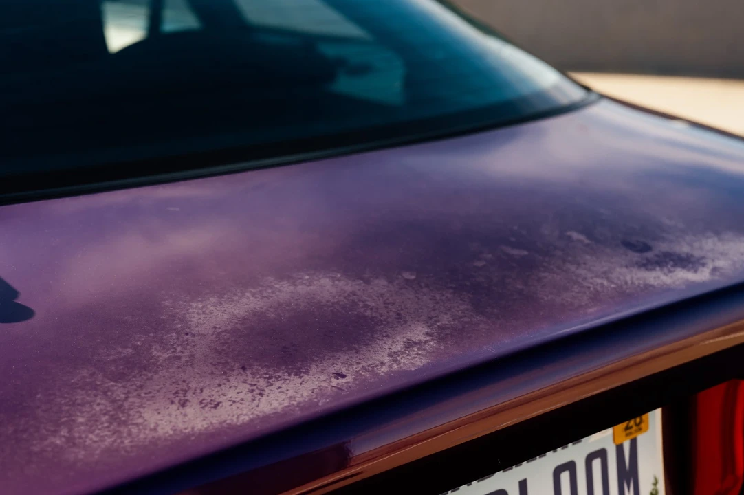 1994 Ford Probe - Image 31 of 31
