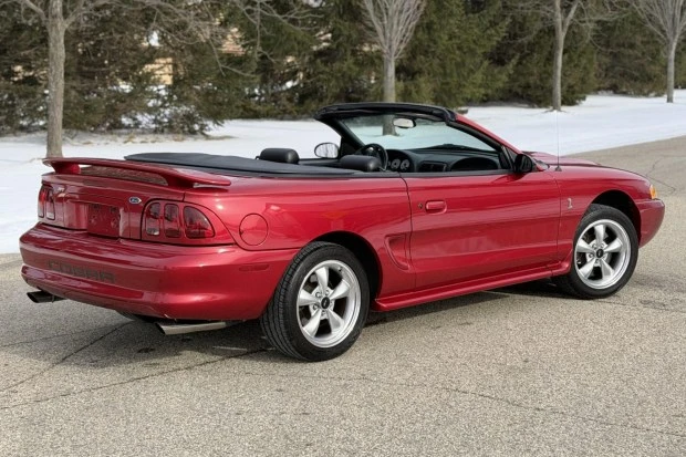 1998 Ford SN95 Mustang Cobra - Image 2 of 8