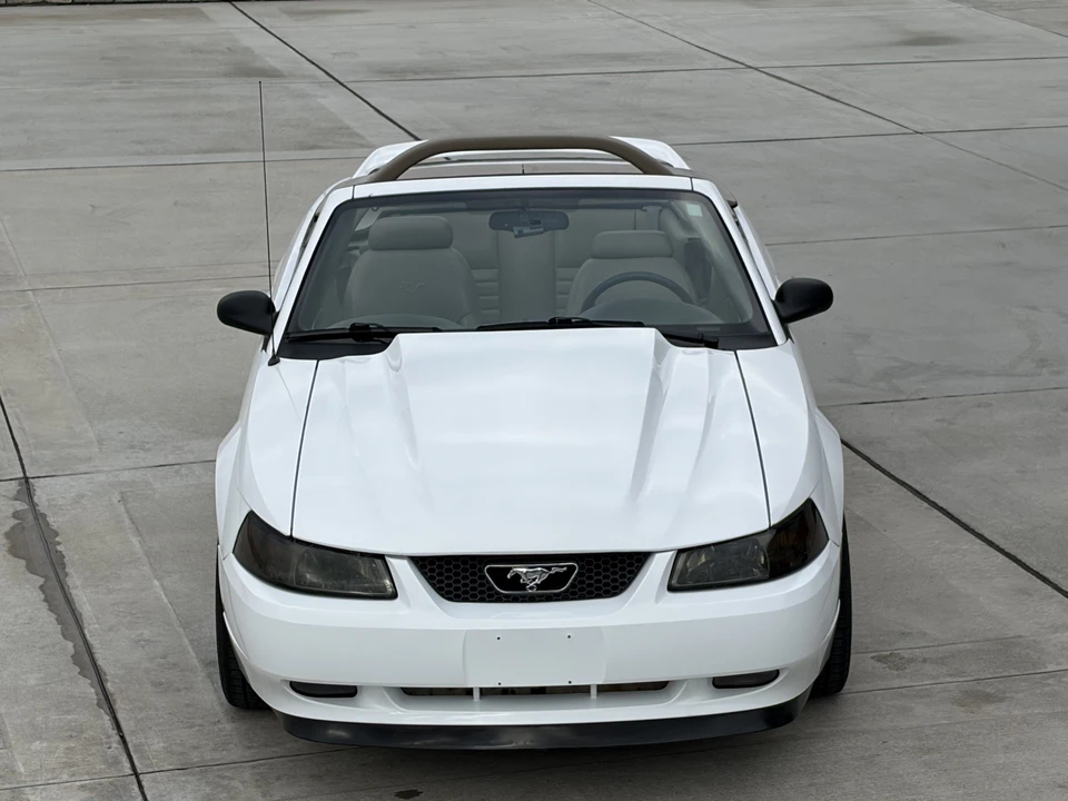 2000 Ford SN95 Mustang - Image 21 of 31