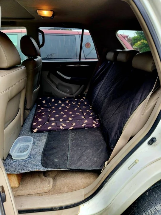 2005 Toyota 4Runner 4th Gen - Image 10 of 14