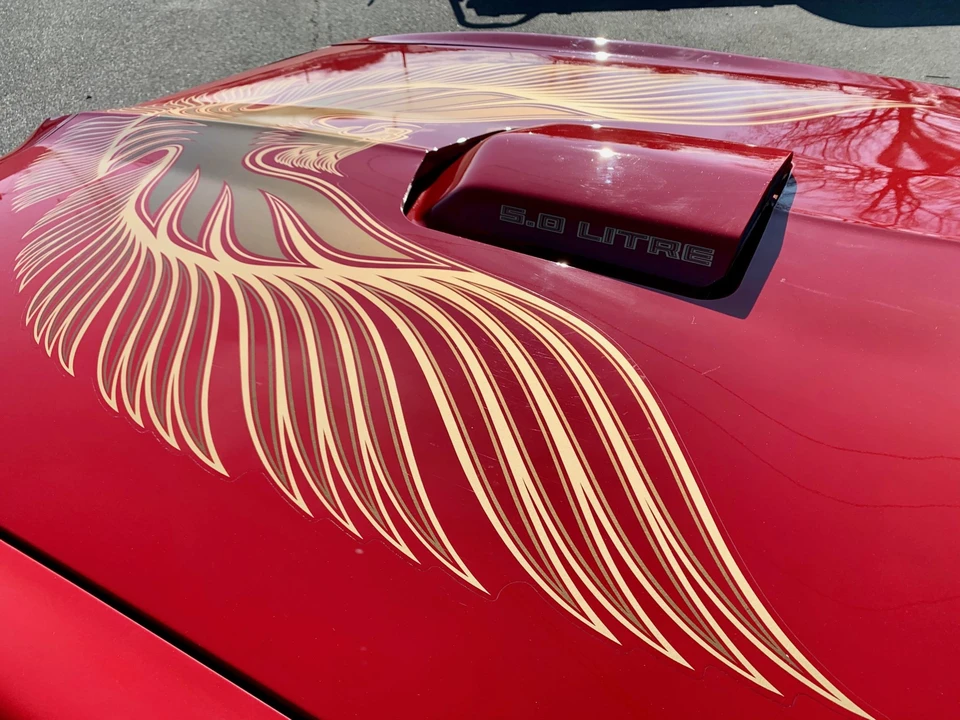 1981 Pontiac Firebird Trans Am 2nd Gen - Image 19 of 31