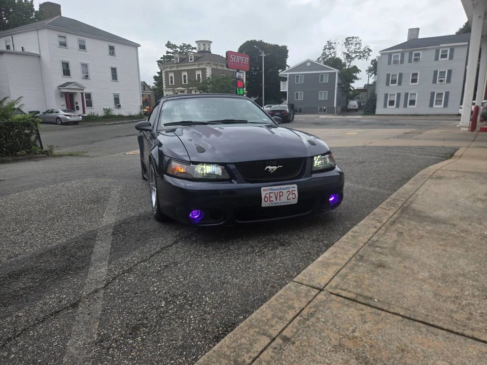 2002 Ford SN95 Mustang - Image 2 of 5