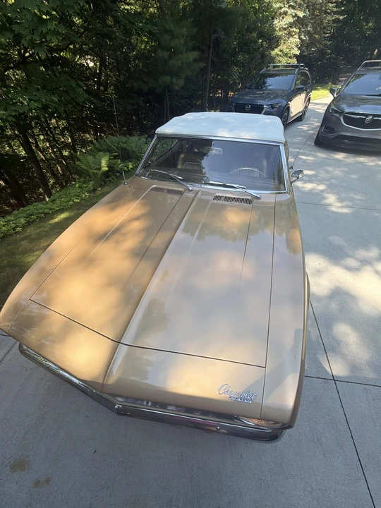 1967 Chevrolet Camaro 1st Gen - Image 31 of 31