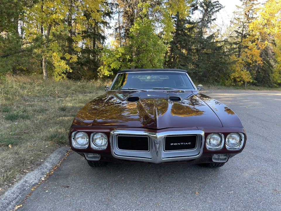 1969 Pontiac Firebird 1st Gen - Image 9 of 31