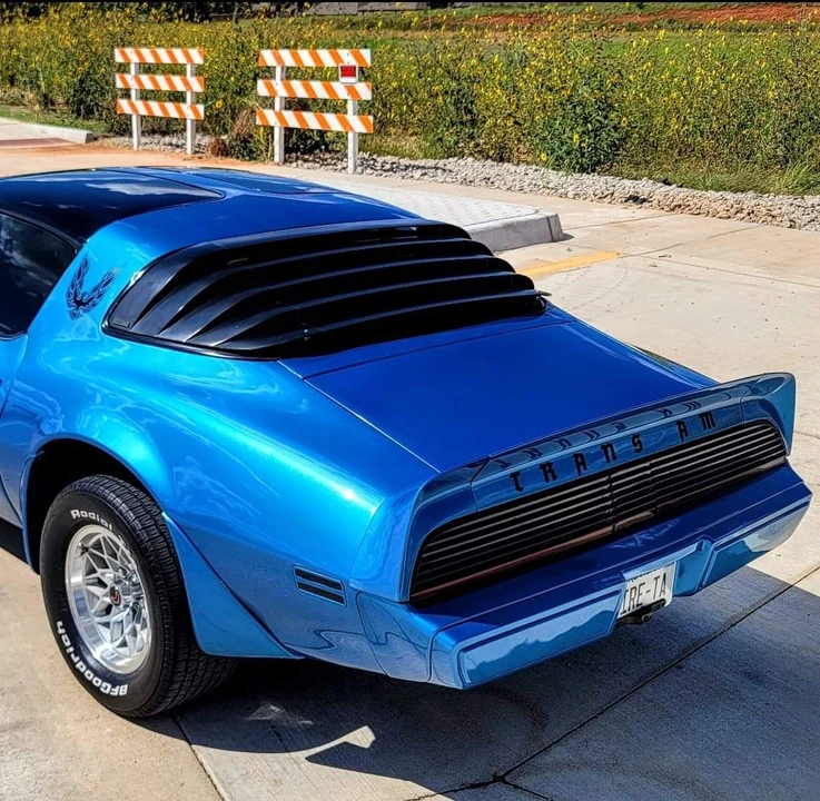 1979 Pontiac Firebird Trans Am 2nd Gen - Image 22 of 31