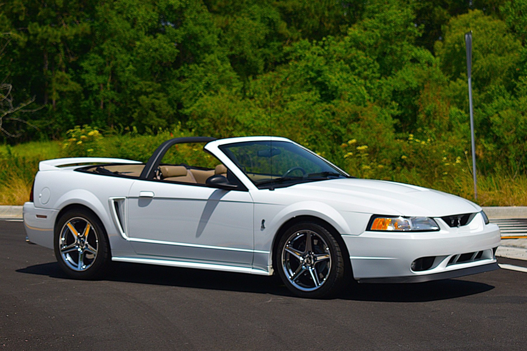 50k-Mile 1999 Ford Mustang SVT Cobra Convertible