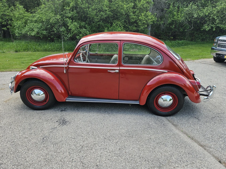 1965 Volkswagen Beetle (1958-1979) - Image 13 of 31