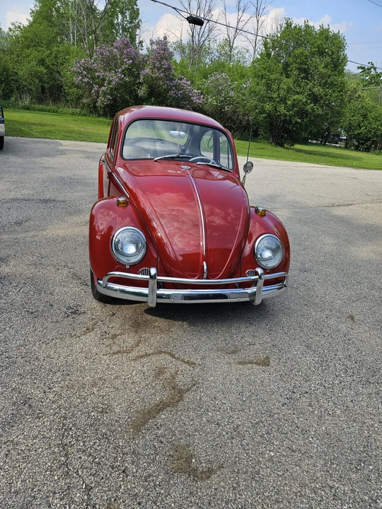 1965 Volkswagen Beetle (1958-1979) - Image 12 of 31