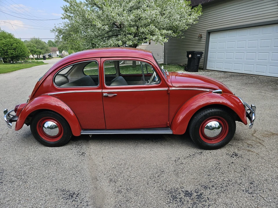 1965 Volkswagen Beetle (1958-1979) - Image 15 of 31