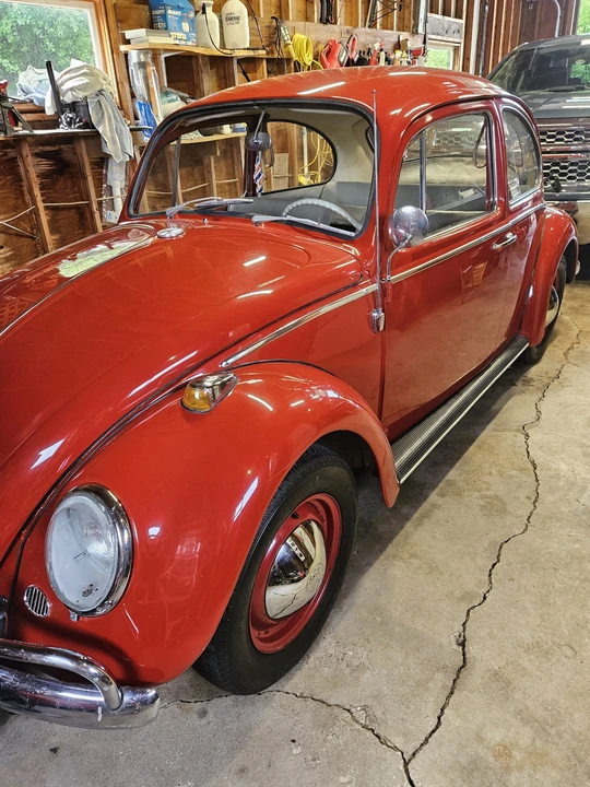 1965 Volkswagen Beetle (1958-1979) - Image 22 of 31
