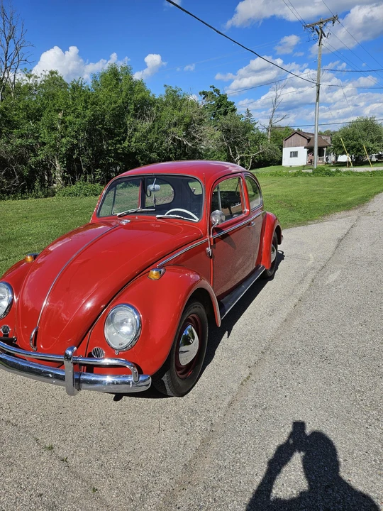1965 Volkswagen Beetle (1958-1979) - Image 17 of 31