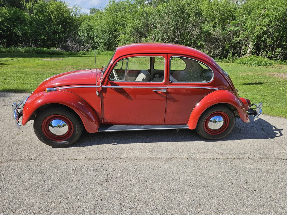 1965 Volkswagen Beetle (1958-1979) - Image 5 of 31