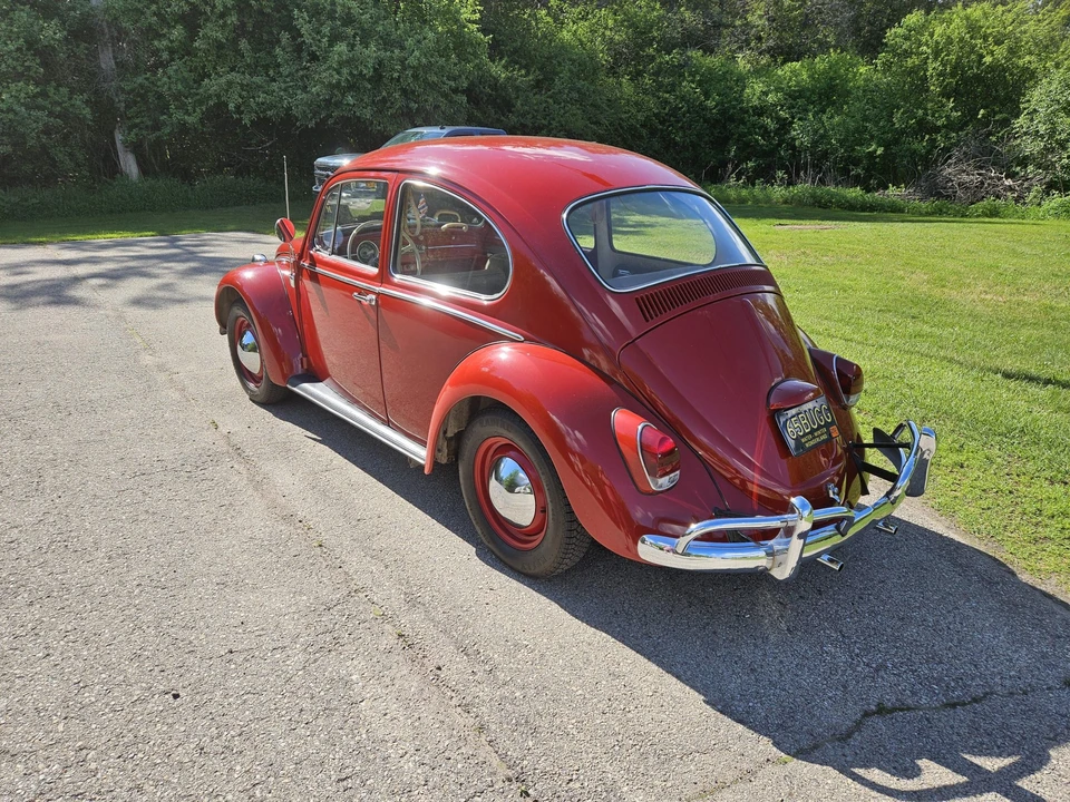 1965 Volkswagen Beetle (1958-1979) - Image 8 of 31
