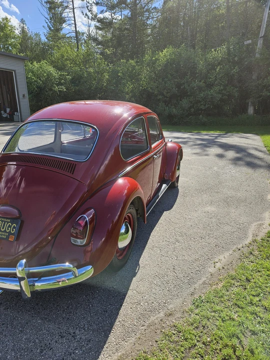 1965 Volkswagen Beetle (1958-1979) - Image 19 of 31
