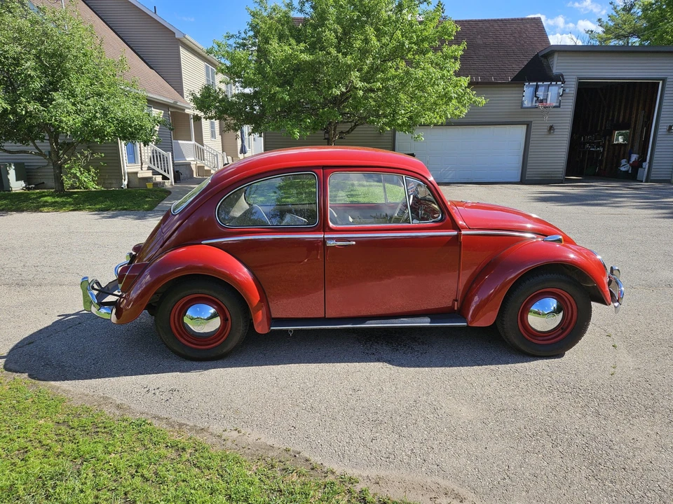 1965 Volkswagen Beetle (1958-1979) - Image 10 of 31