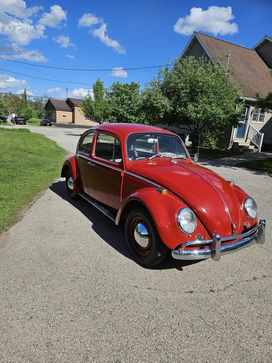 1965 Volkswagen Beetle (1958-1979) - Image 3 of 31