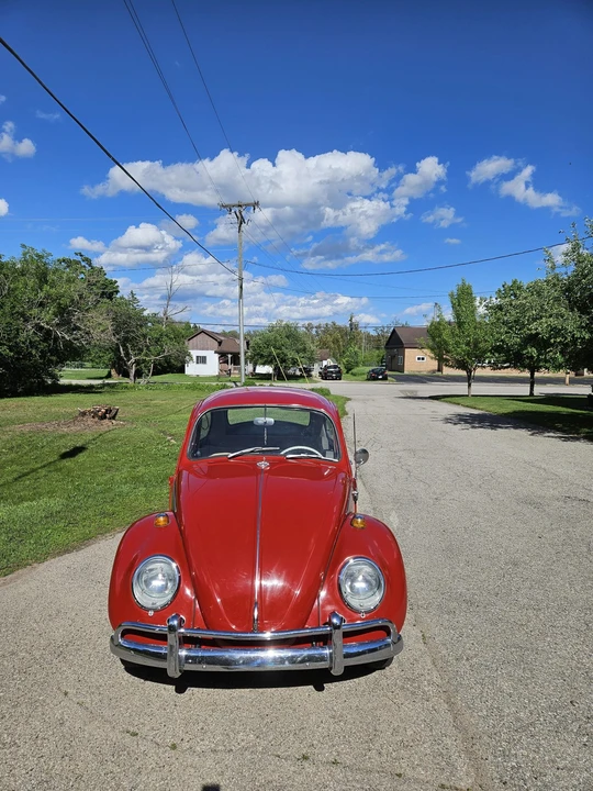 1965 Volkswagen Beetle (1958-1979) - Image 4 of 31