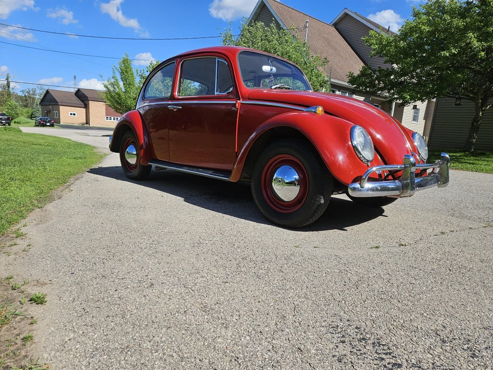 1965 Volkswagen Beetle (1958-1979) - Image 2 of 31