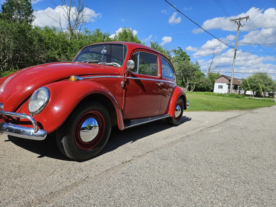 1965 Volkswagen Beetle (1958-1979) - Image 18 of 31
