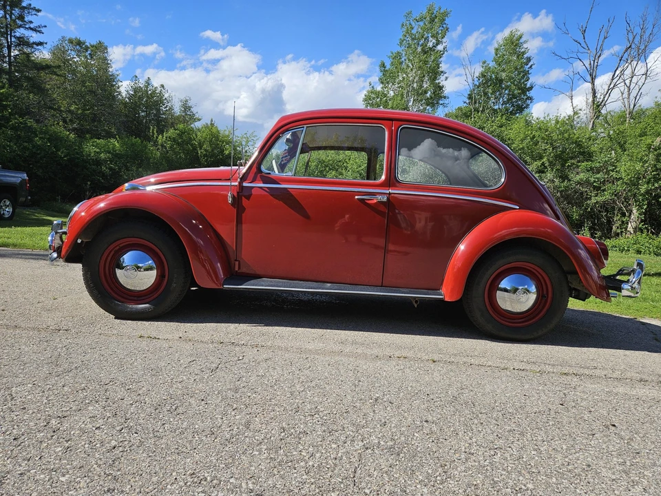 1965 Volkswagen Beetle (1958-1979) - Image 6 of 31