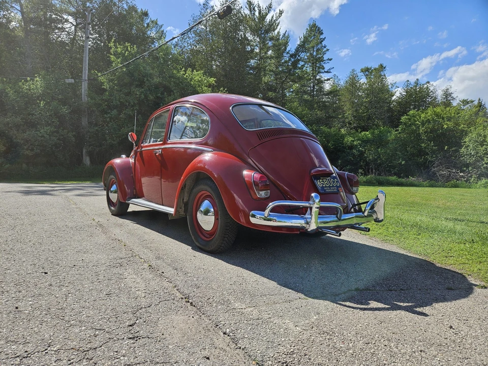 1965 Volkswagen Beetle (1958-1979) - Image 7 of 31