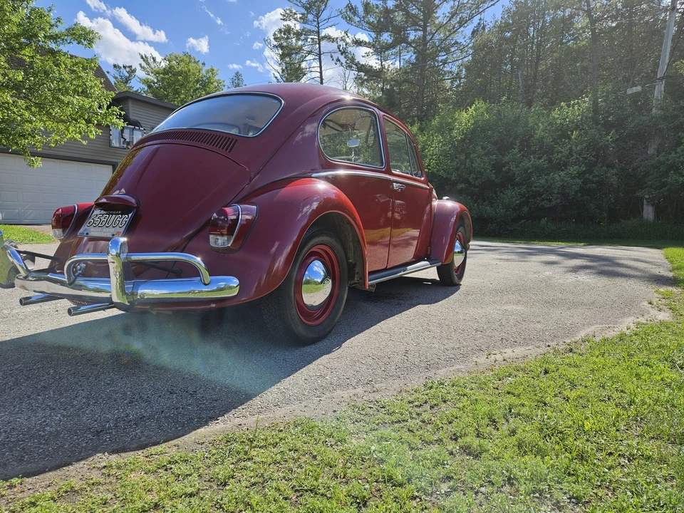 1965 Volkswagen Beetle (1958-1979) - Image 20 of 31