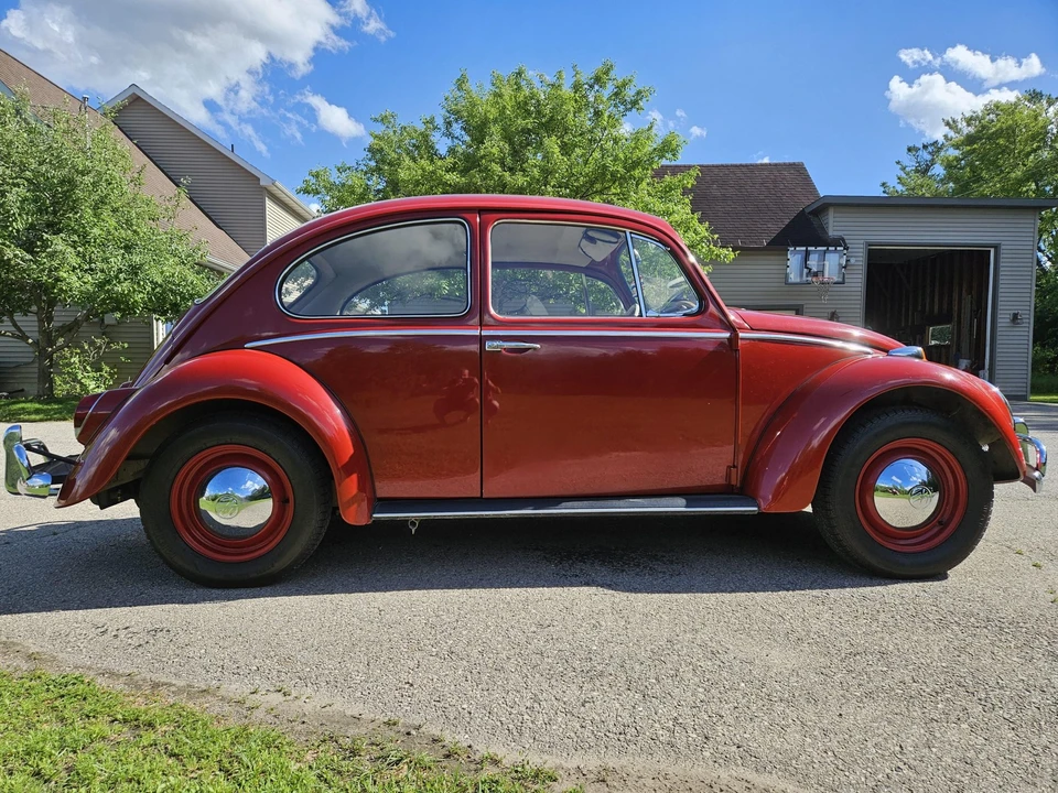 1965 Volkswagen Beetle (1958-1979) - Image 11 of 31