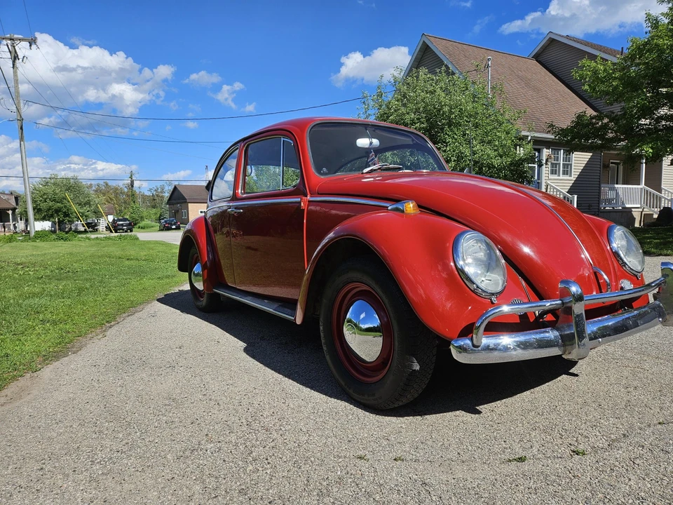 1965 Volkswagen Beetle (1958-1979) - Image 16 of 31