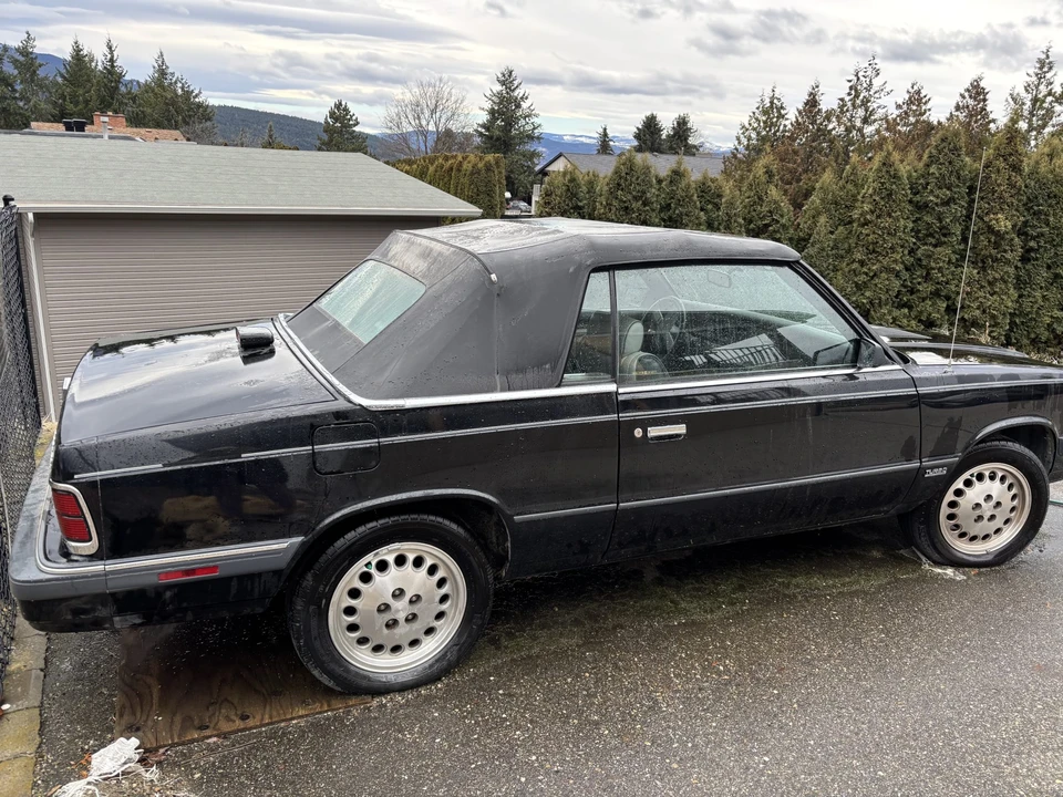 1986 Chrysler K-Car - Image 11 of 31