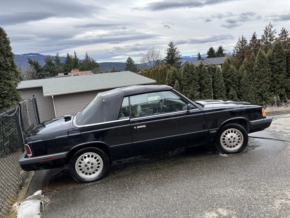 1986 Chrysler K-Car - Image 10 of 31