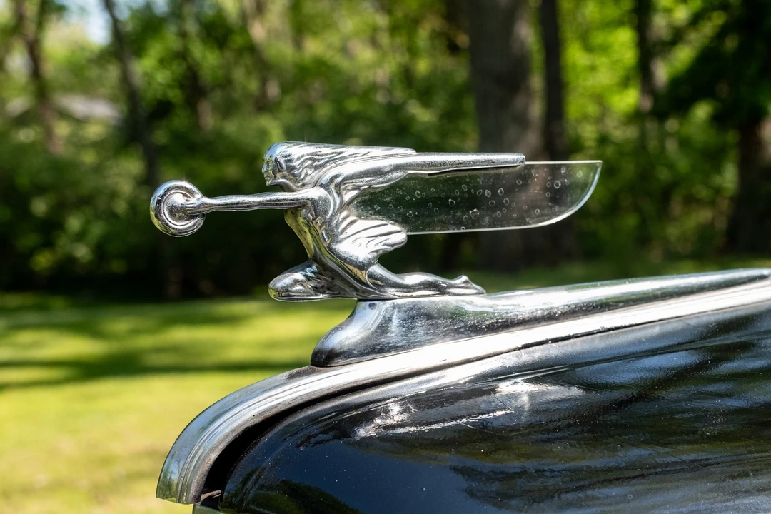 1941 Packard Six & One-Ten & 115 - Image 22 of 31