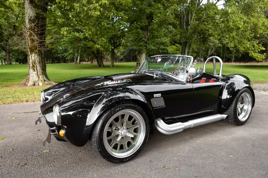 Shelby Cobra Replica - Image 2 of 31