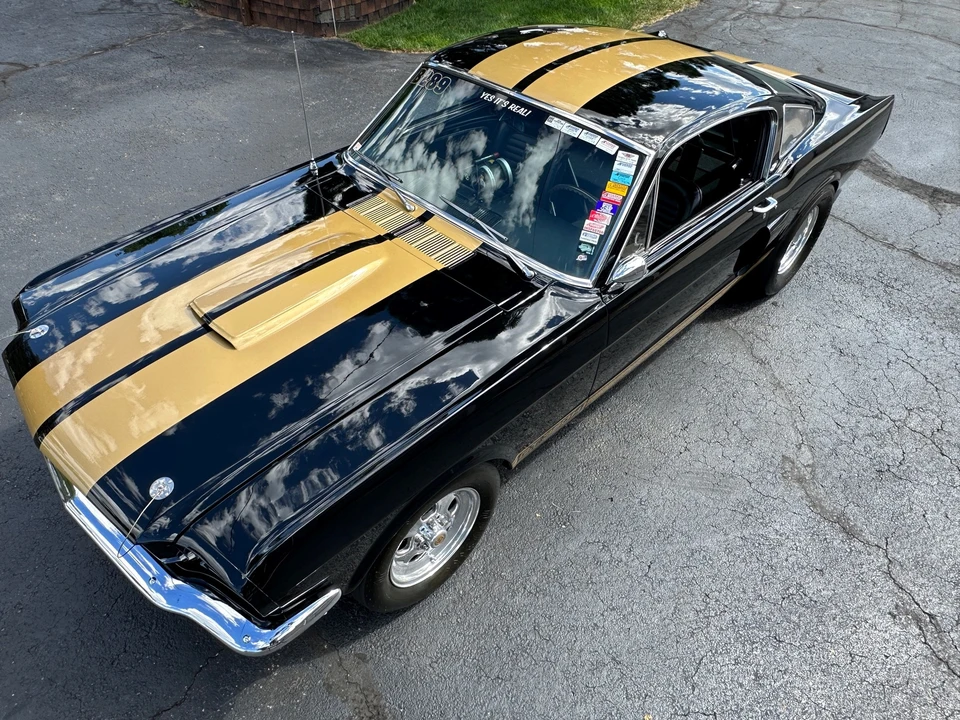 1966 Shelby GT350 - Image 9 of 31