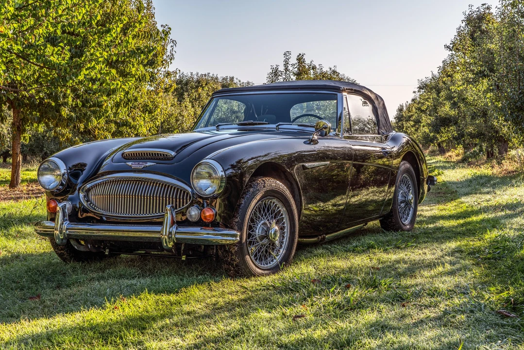1966 Austin-Healey 3000 Mark III - Image 5 of 31