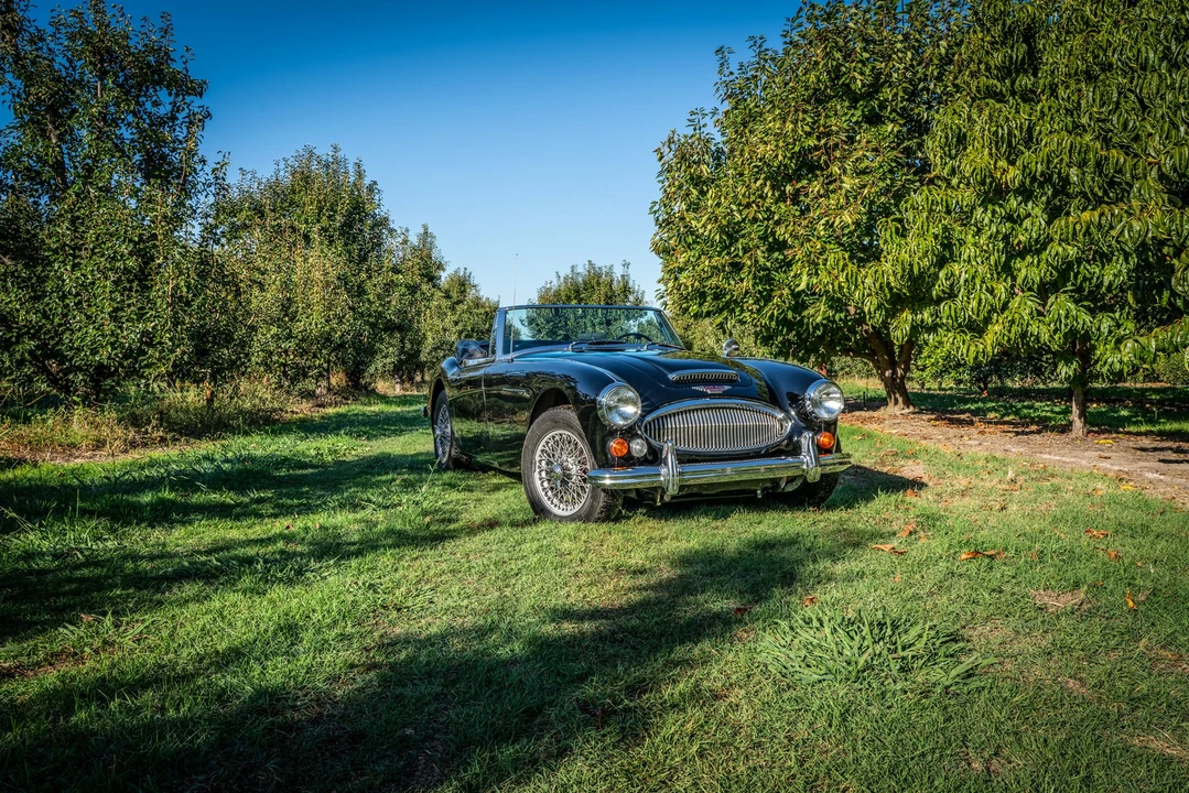 1966 Austin-Healey 3000 Mark III - Image 25 of 31