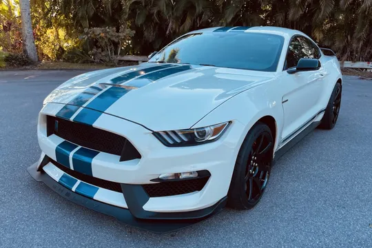 2020 Ford Mustang Shelby GT350R Heritage Edition